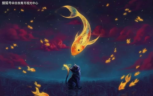 2024新奥门正版免费资料|月夜下的星辰与梦想_HD品.5.3