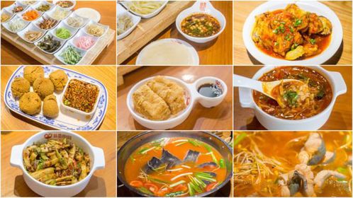 2024新澳免费资料图片|探索古镇风情与美食之旅_纯净型.5.424